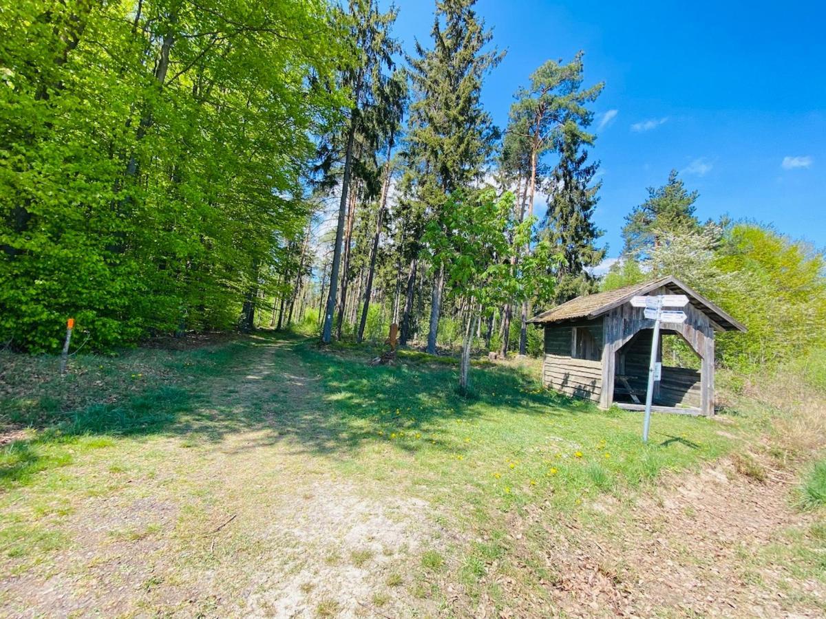 Pension Schmitt Waldfenster Exterior photo